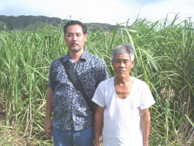 サトウキビはいつ植えるの 足立音衛門